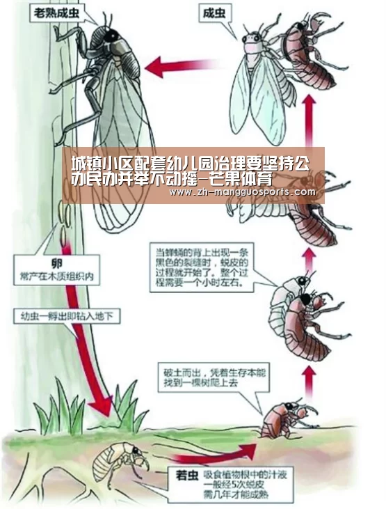 芒果体育