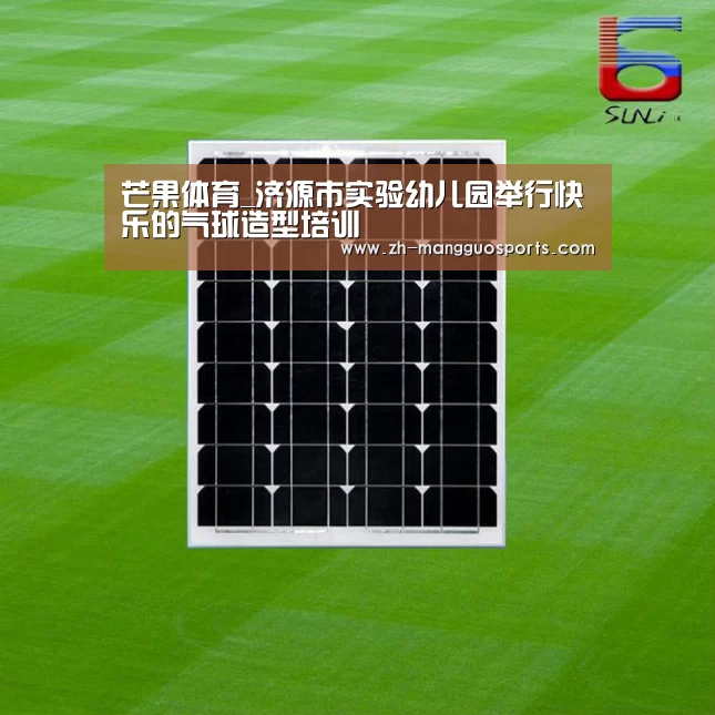 芒果体育_济源市实验幼儿园举行快乐的气球造型培训(图1) 芒果体育