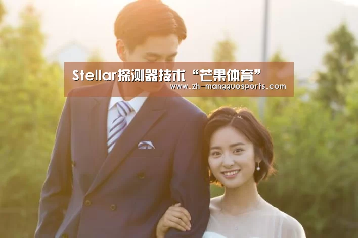 Stellar探测器技术“芒果体育”(图1) 芒果体育