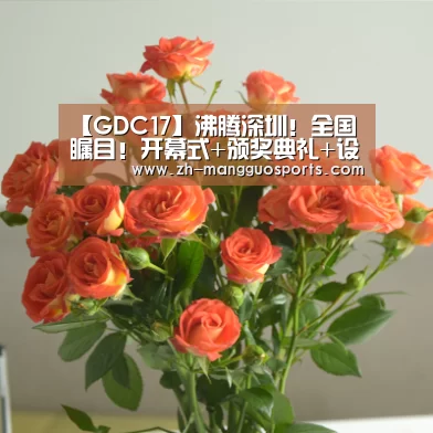 芒果体育
